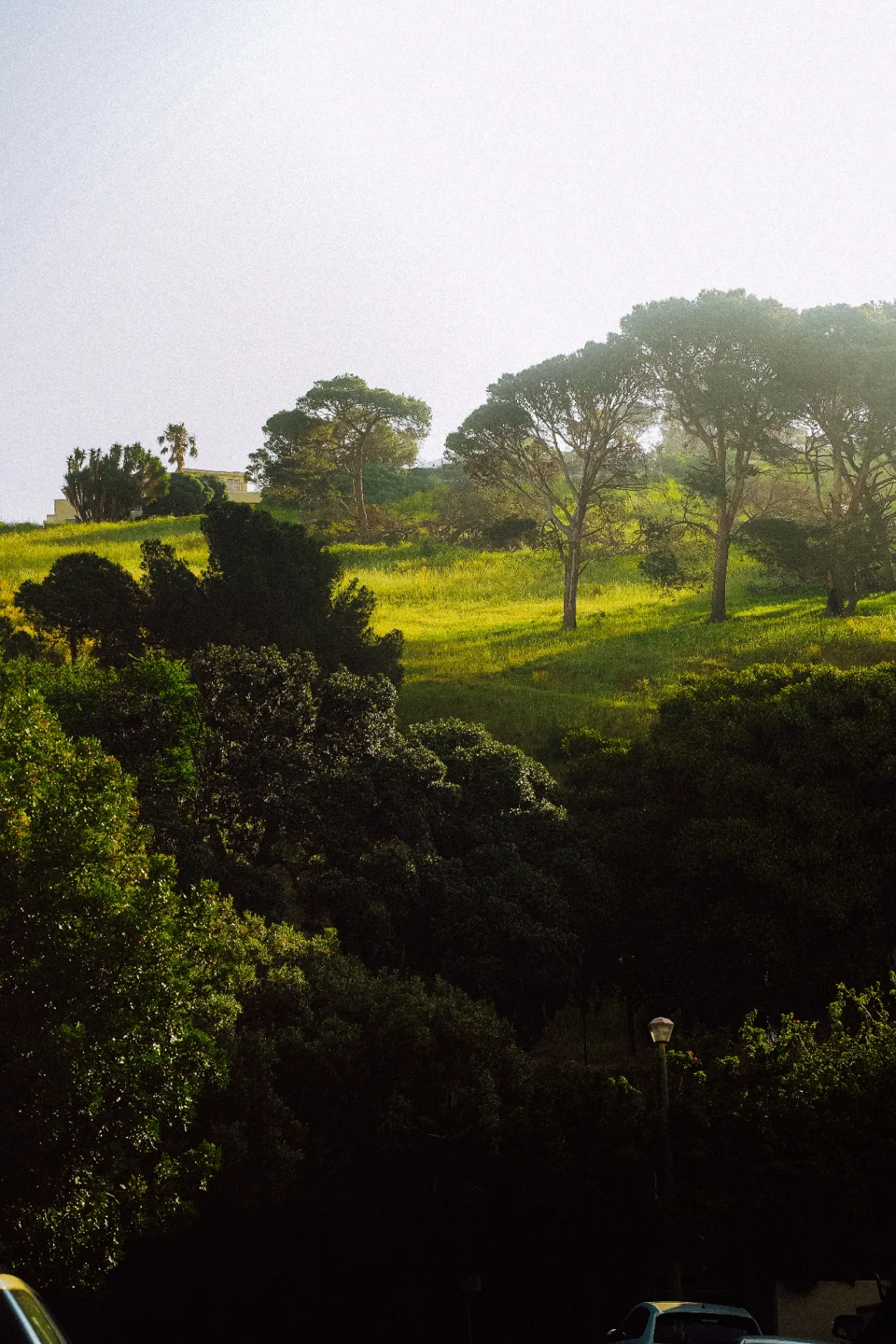 Expand Health, premium longevity clinic in Cape Town
